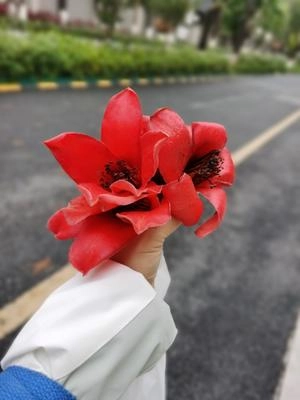 How to Dry Kapok Step 1