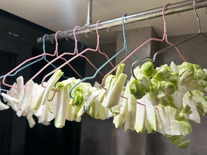 How to Make Chongqing Pickled Cabbage Step 5