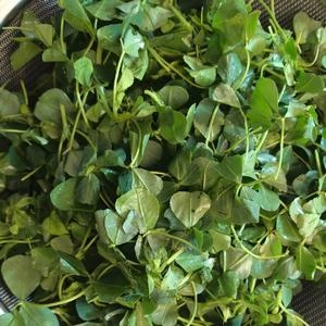 How to Make 7 Steps to Wine Heads Step 2