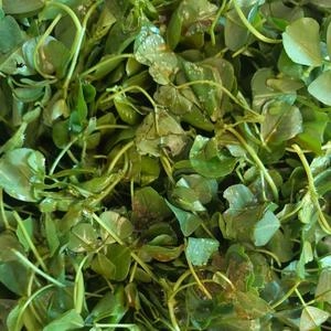 How to Make 7 Steps to a Wine Head Step 4