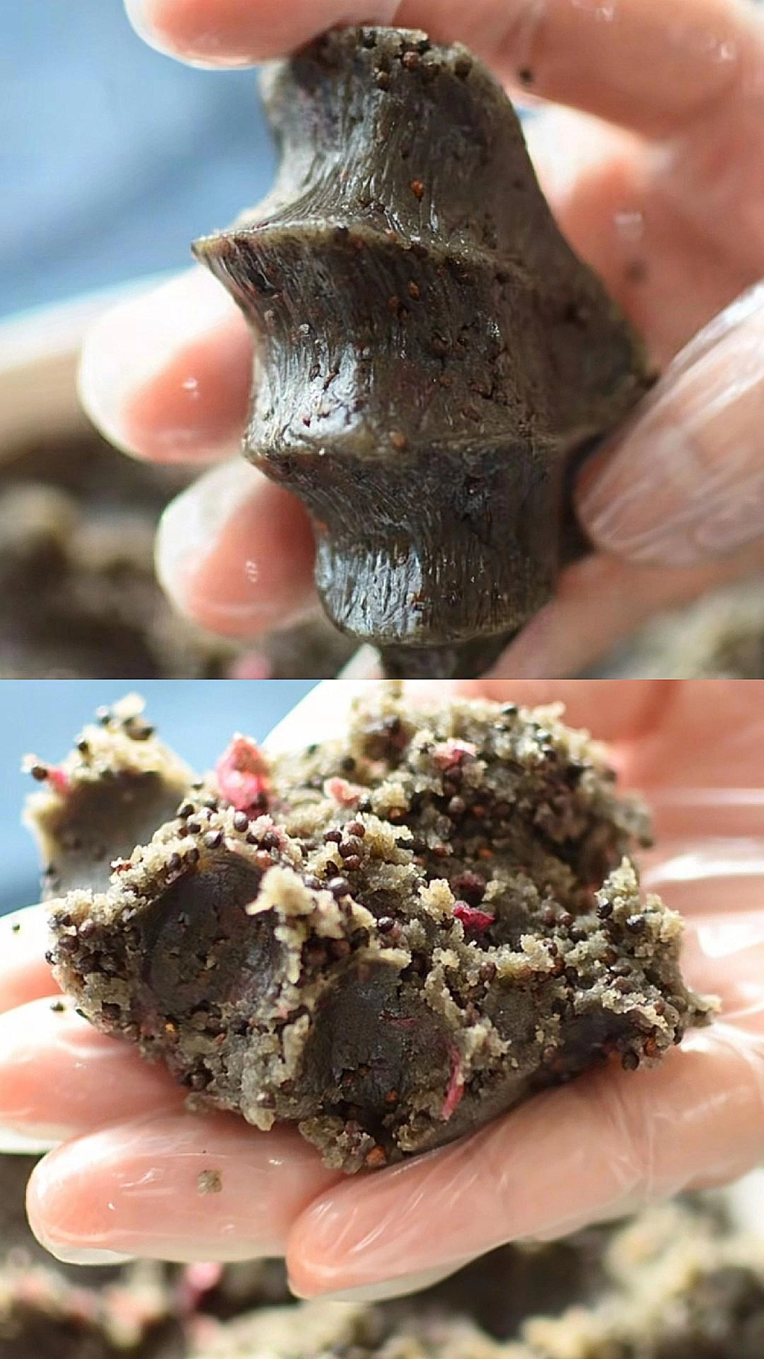 Close-up of Stuffed Rose and Purple Soda Seeds (Chinese Tea)