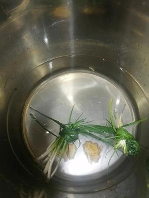 Stewed Duck with Tea Tree Mushrooms Step 8