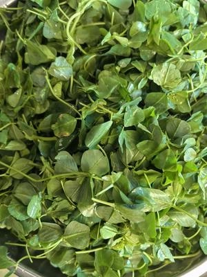 Step 1 of the 7 Steps to Make Wine Heads